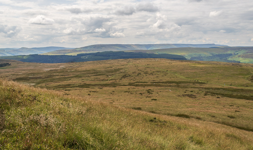 Rowlee Pasture